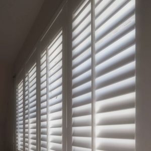 Paulownia_Shutters.JPG